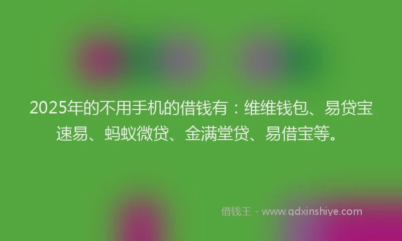 2025年的不用手机的借钱有：维维钱包、易贷宝速易、蚂蚁微贷、金满堂贷、易借宝等。