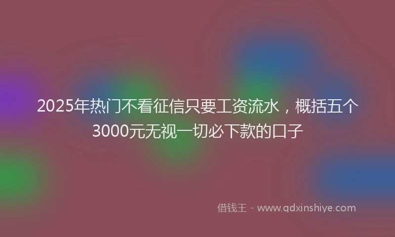 2025年热门不看征信只要工资流水，概括五个3000元无视一切必下款的口子