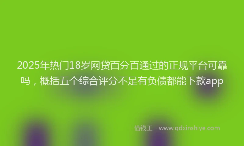 2025年热门18岁网贷百分百通过的正规平台可靠吗，概括五个综合评分不足有负债都能下款app