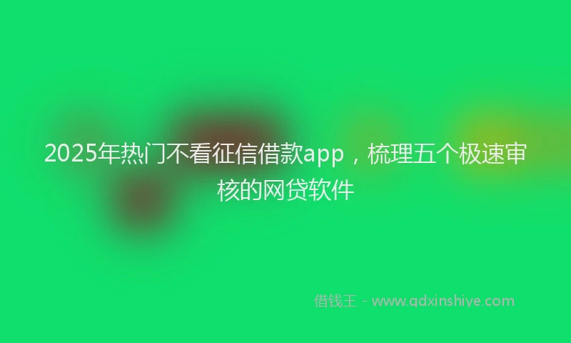 2025年热门不看征信借款app，梳理五个极速审核的网贷软件