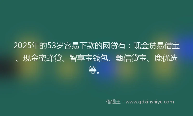 2025年的53岁容易下款的网贷有：现金贷易借宝、现金蜜蜂贷、智享宝钱包、甄信贷宝、鹿优选等。