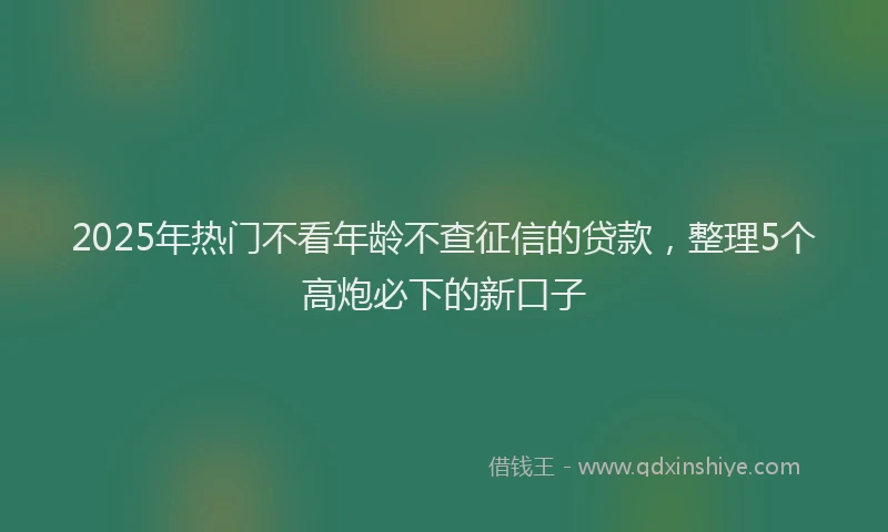 2025年热门不看年龄不查征信的贷款，整理5个高炮必下的新口子