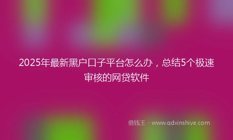 2025年最新黑户口子平台怎么办，总结5个极速审核的网贷软件