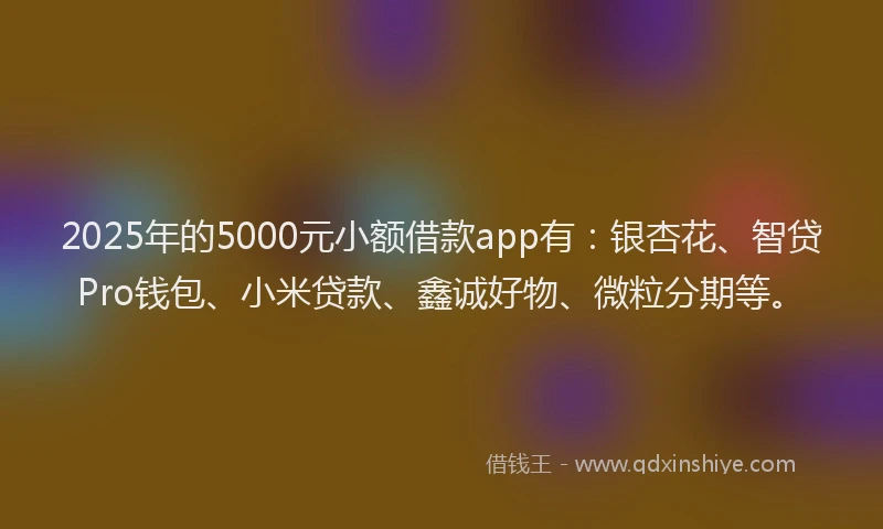 2025年的5000元小额借款app有：银杏花、智贷Pro钱包、小米贷款、鑫诚好物、微粒分期等。