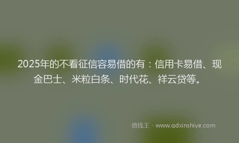 2025年的不看征信容易借的有：信用卡易借、现金巴士、米粒白条、时代花、祥云贷等。