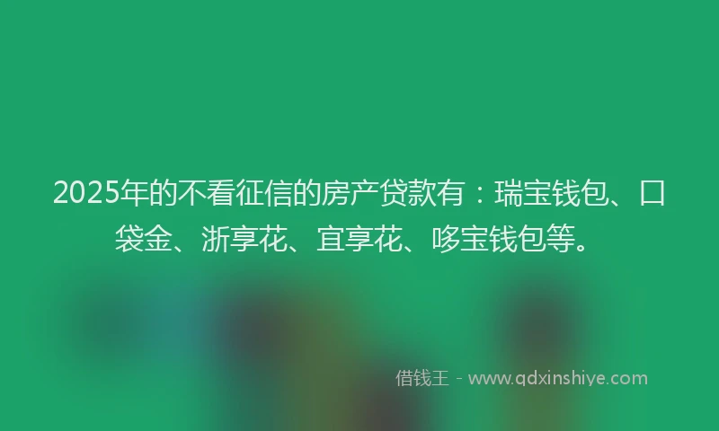 2025年的不看征信的房产贷款有：瑞宝钱包、口袋金、浙享花、宜享花、哆宝钱包等。