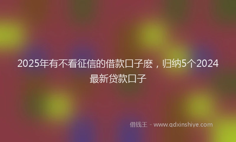 2025年有不看征信的借款口子麽，归纳5个2024最新贷款口子