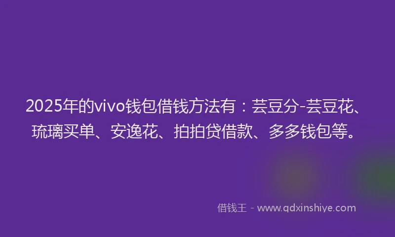 2025年的vivo钱包借钱方法有:芸豆分-芸豆花、琉璃买单、安逸花、拍拍贷借款、多多钱包等。