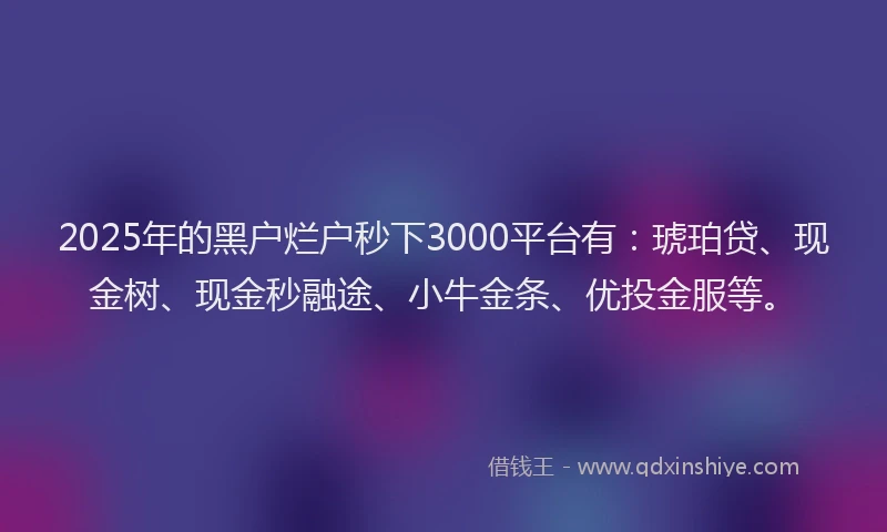 2025年的黑户烂户秒下3000平台有：琥珀贷、现金树、现金秒融途、小牛金条、优投金服等。