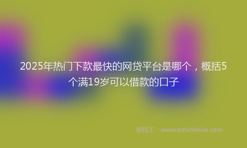 2025年热门下款最快的网贷平台是哪个,概括5个满19岁可以借款的口子