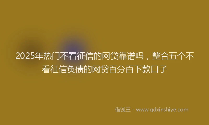 2025年热门不看征信的网贷靠谱吗，整合五个不看征信负债的网贷百分百下款口子