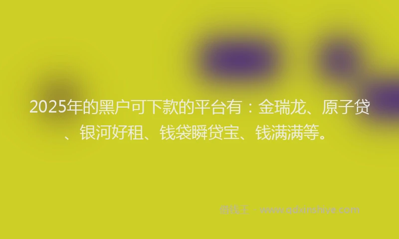 2025年的黑户可下款的平台有：金瑞龙、原子贷、银河好租、钱袋瞬贷宝、钱满满等。