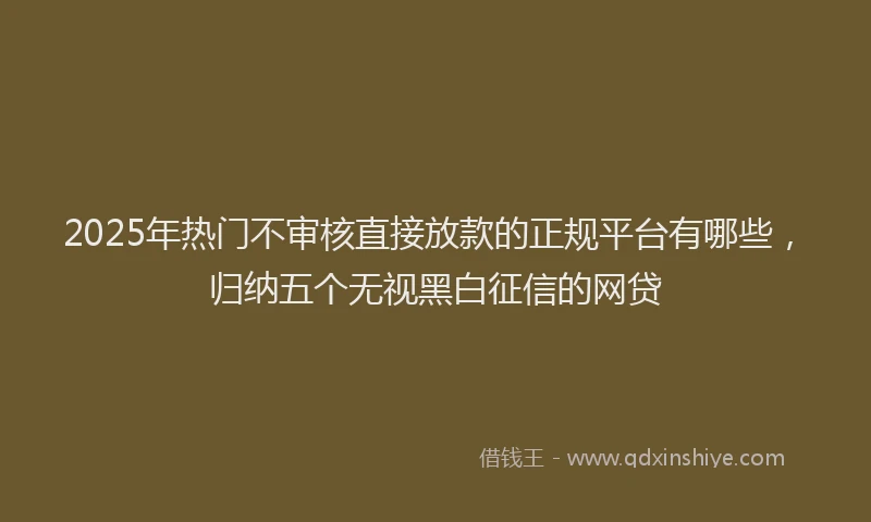 2025年热门不审核直接放款的正规平台有哪些，归纳五个无视黑白征信的网贷