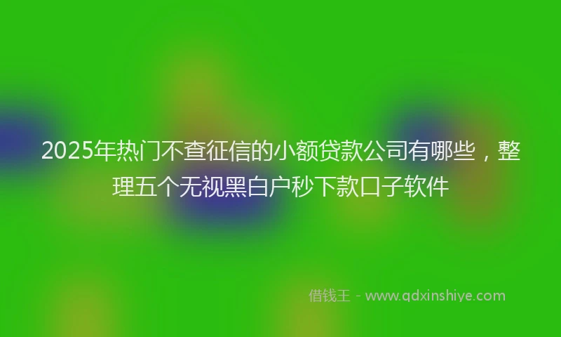 2025年热门不查征信的小额贷款公司有哪些,整理五个无视黑白户秒下款口子软件