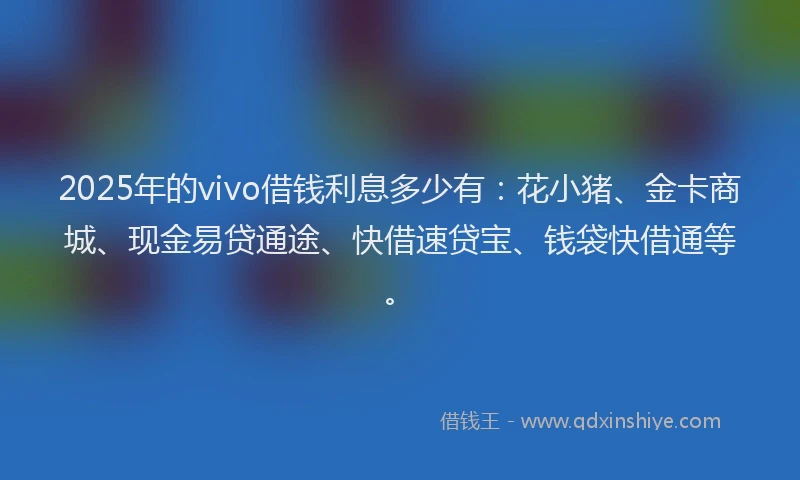 2025年的vivo借钱利息多少有：花小猪、金卡商城、现金易贷通途、快借速贷宝、钱袋快借通等。