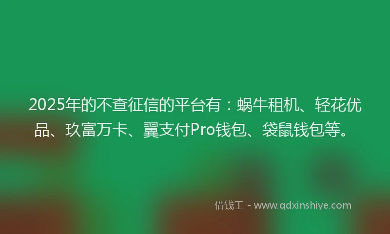 2025年的不查征信的平台有：蜗牛租机、轻花优品、玖富万卡、翼支付Pro钱包、袋鼠钱包等。