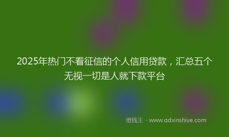 2025年热门不看征信的个人信用贷款，汇总五个无视一切是人就下款平台