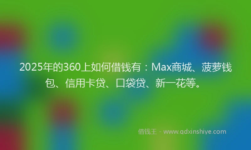 2025年的360上如何借钱有：Max商城、菠萝钱包、信用卡贷、口袋贷、新一花等。