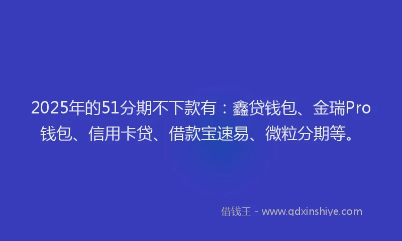 2025年的51分期不下款有：鑫贷钱包、金瑞Pro钱包、信用卡贷、借款宝速易、微粒分期等。