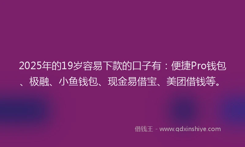 2025年的19岁容易下款的口子有：便捷Pro钱包、极融、小鱼钱包、现金易借宝、美团借钱等。
