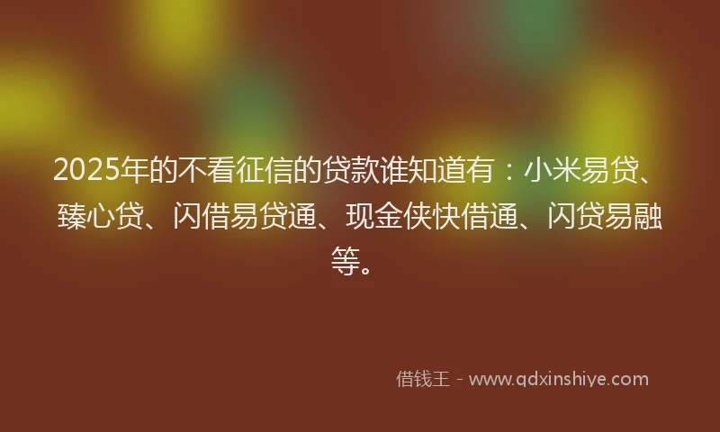 2025年的不看征信的贷款谁知道有:小米易贷、臻心贷、闪借易贷通、现金侠快借通、闪贷易融等。