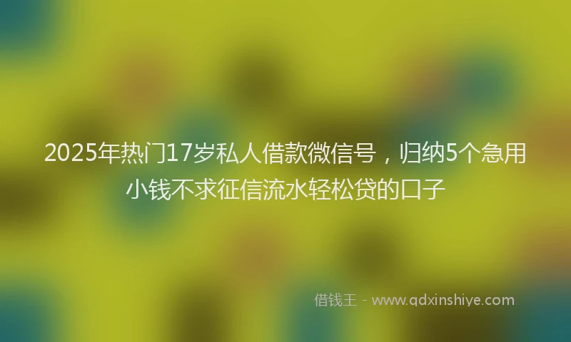 2025年热门17岁私人借款微信号，归纳5个急用小钱不求征信流水轻松贷的口子