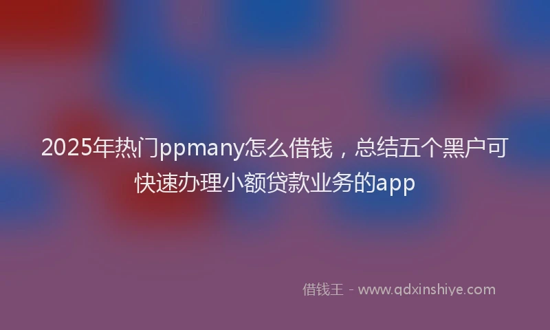 2025年热门ppmany怎么借钱，总结五个黑户可快速办理小额贷款业务的app