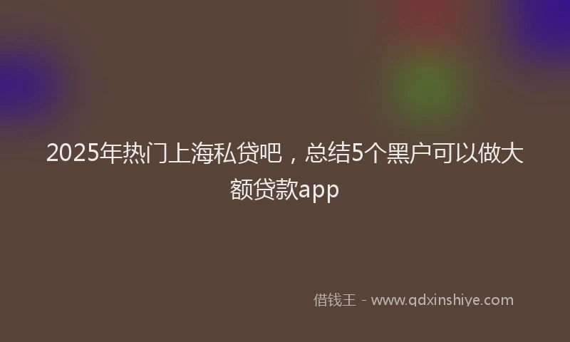 2025年热门上海私贷吧，总结5个黑户可以做大额贷款app