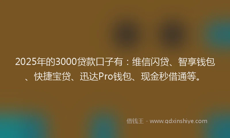 2025年的3000贷款口子有：维信闪贷、智享钱包、快捷宝贷、迅达Pro钱包、现金秒借通等。