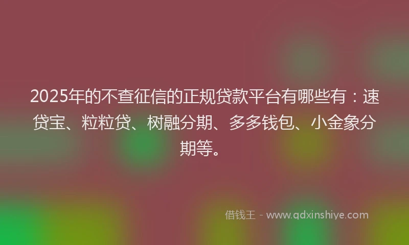 2025年的不查征信的正规贷款平台有哪些有：速贷宝、粒粒贷、树融分期、多多钱包、小金象分期等。