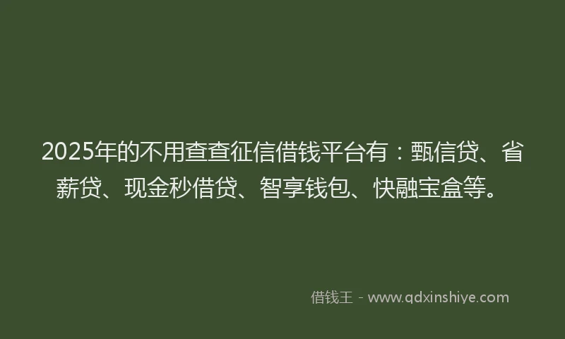 2025年的不用查查征信借钱平台有：甄信贷、省薪贷、现金秒借贷、智享钱包、快融宝盒等。