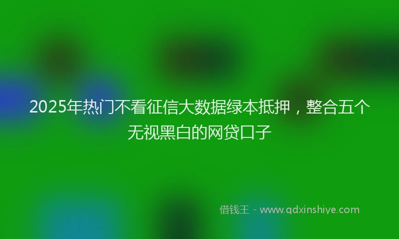 2025年热门不看征信大数据绿本抵押，整合五个无视黑白的网贷口子