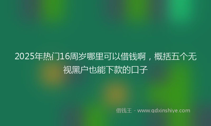2025年热门16周岁哪里可以借钱啊，概括五个无视黑户也能下款的口子