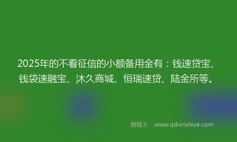 2025年的不看征信的小额备用金有：钱速贷宝、钱袋速融宝、沐久商城、恒瑞速贷、陆金所等。