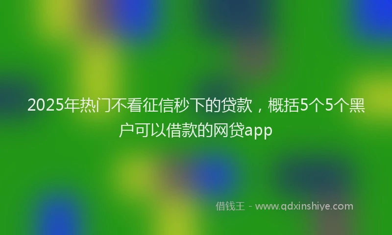 2025年热门不看征信秒下的贷款，概括5个5个黑户可以借款的网贷app