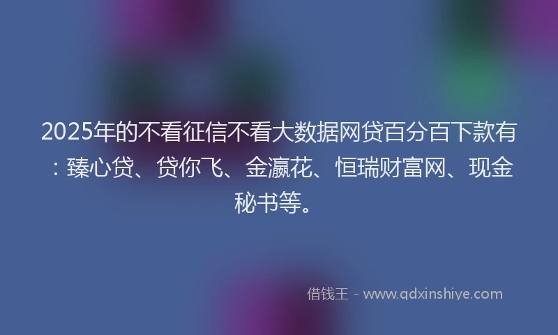 2025年的不看征信不看大数据网贷百分百下款有：臻心贷、贷你飞、金瀛花、恒瑞财富网、现金秘书等。