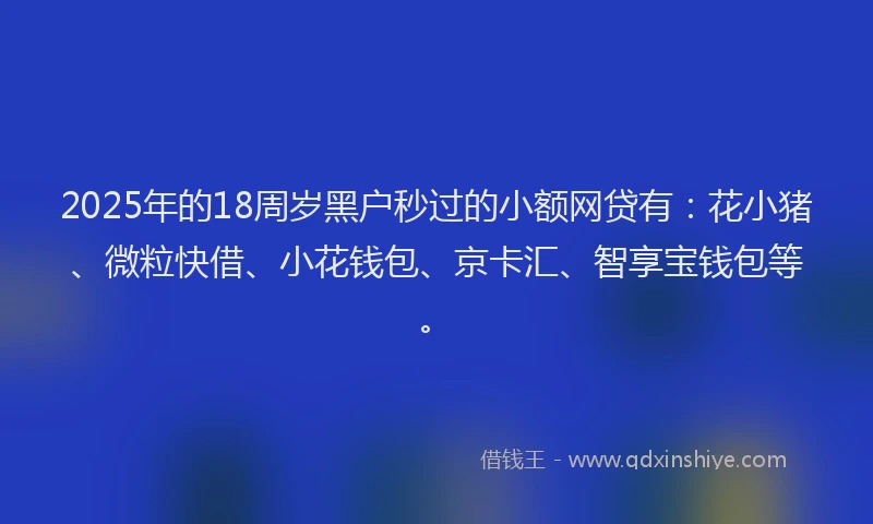 2025年的18周岁黑户秒过的小额网贷有：花小猪、微粒快借、小花钱包、京卡汇、智享宝钱包等。