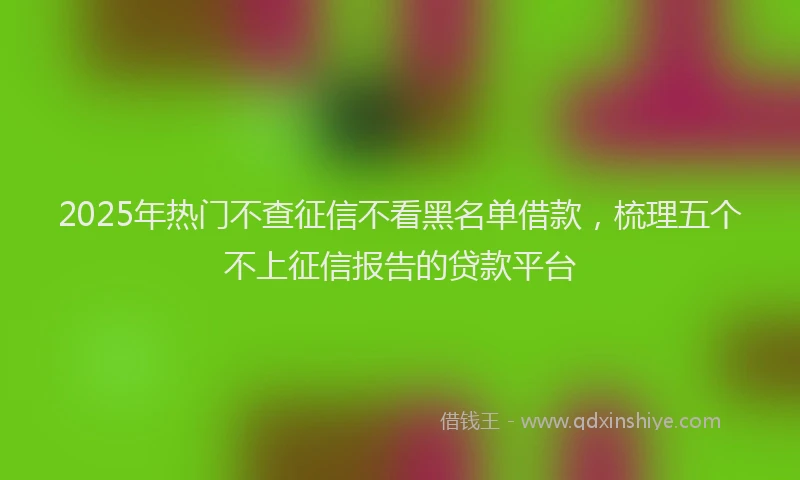 2025年热门不查征信不看黑名单借款，梳理五个不上征信报告的贷款平台