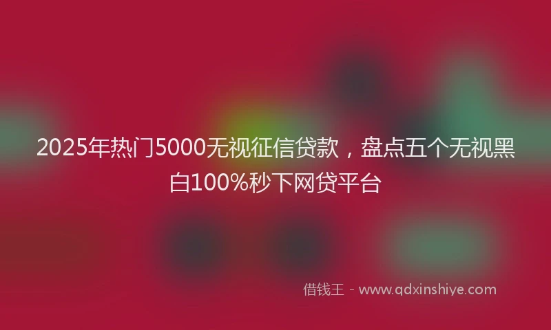 2025年热门5000无视征信贷款，盘点五个无视黑白100%秒下网贷平台