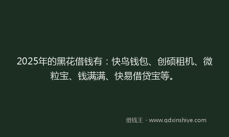 2025年的黑花借钱有：快鸟钱包、创硕租机、微粒宝、钱满满、快易借贷宝等。