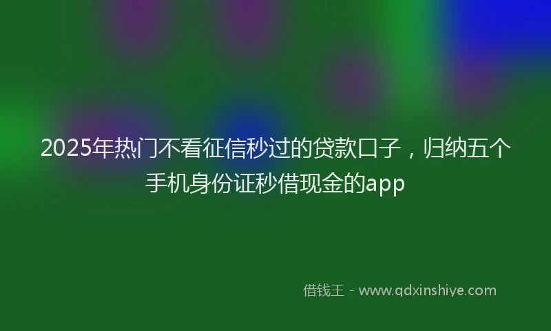 2025年热门不看征信秒过的贷款口子，归纳五个手机身份证秒借现金的app