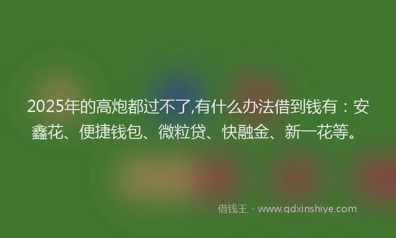 2025年的高炮都过不了,有什么办法借到钱有：安鑫花、便捷钱包、微粒贷、快融金、新一花等。