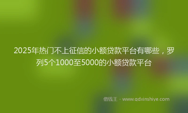 2025年热门不上征信的小额贷款平台有哪些，罗列5个1000至5000的小额贷款平台