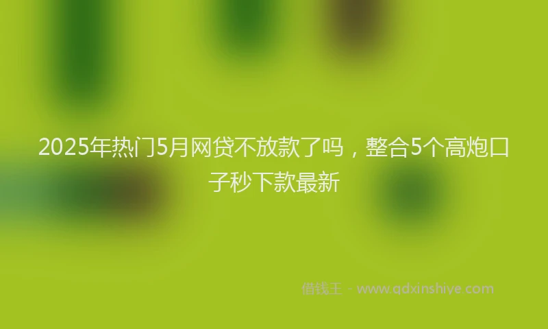 2025年热门5月网贷不放款了吗，整合5个高炮口子秒下款最新