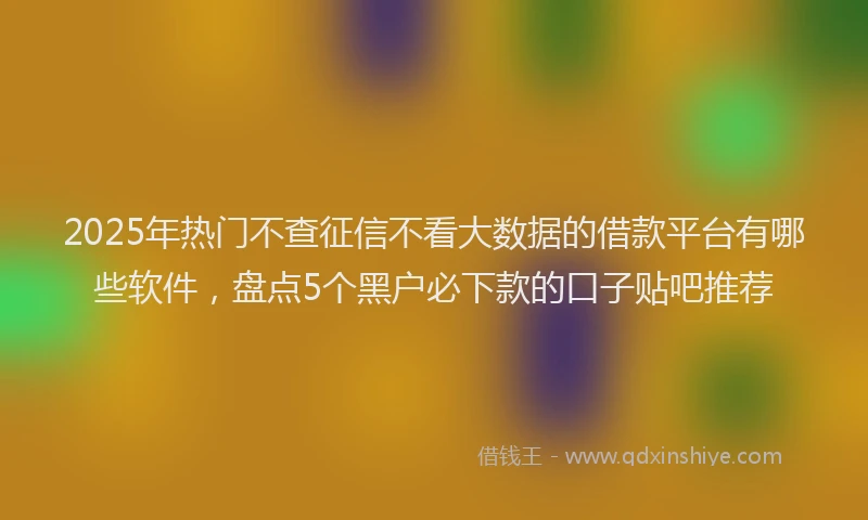 2025年热门不查征信不看大数据的借款平台有哪些软件，盘点5个黑户必下款的口子贴吧推荐
