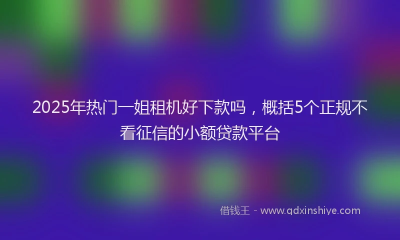 2025年热门一姐租机好下款吗，概括5个正规不看征信的小额贷款平台
