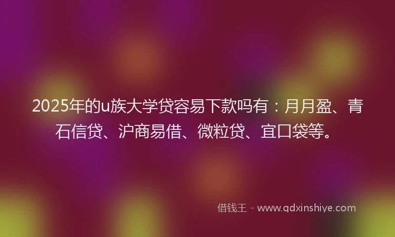 2025年的u族大学贷容易下款吗有：月月盈、青石信贷、沪商易借、微粒贷、宜口袋等。