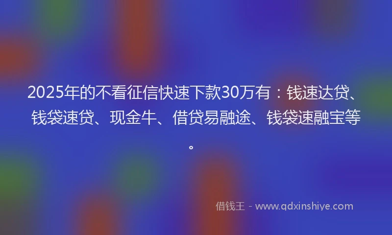 2025年的不看征信快速下款30万有：钱速达贷、钱袋速贷、现金牛、借贷易融途、钱袋速融宝等。