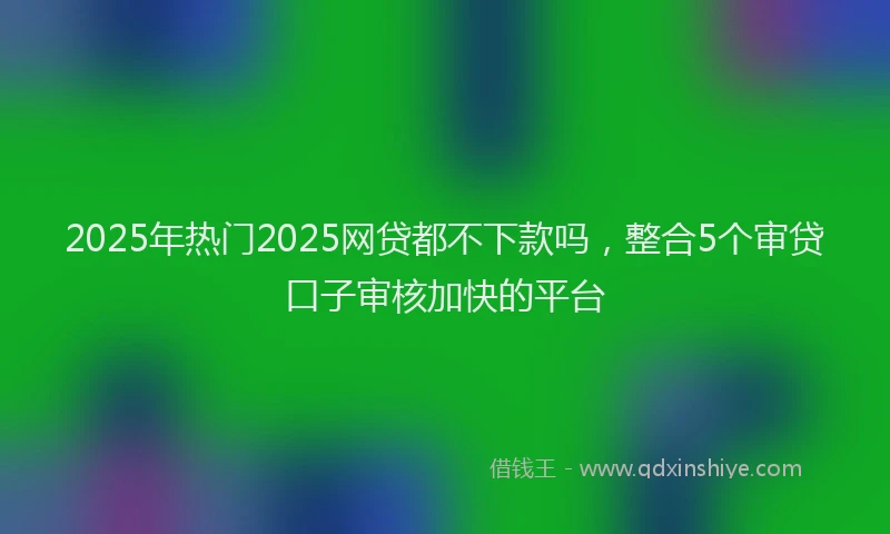 2025年热门2025网贷都不下款吗，整合5个审贷口子审核加快的平台