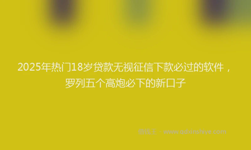 2025年热门18岁贷款无视征信下款必过的软件，罗列五个高炮必下的新口子